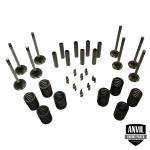 Valve train kit consists of intake and (45 degrees) exhaust valves, valve guides, springs, and keepers. Valve train kit for diesel applications.
Part Reference Numbers: 31431271;31431281
Fits Models: 165; 30 LOADER; 300 COMBINE; 302 INDUST/CONST; 304 INDUST/CONST; 3165 INDUST/CONST; 356 INDUST/CONST; 40B INDUST/CONST; 50 LOADER; 65