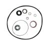 Massey-Ferguson P S Pump Seal Kit For MF20 #9A132003 And Up W/Plessey